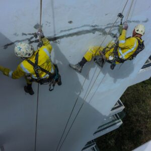 The Saruni: Wall Rectification & Repainting